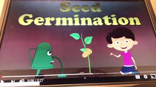 Lima Bean Experiment