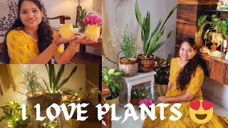 Home decor || plants decor ideas 💡|| house plants || ceramic pots || how to decor with plants 🪴 ||