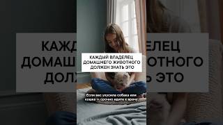 Каждый владелец домашнего питомца должен об этом знать