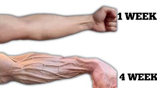 4 Best Forearm Exercises. At home with Dumbbells