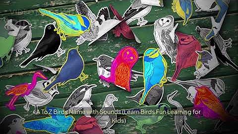 A To Z Birds Name and Sound | ABC Birds for Kids & Toddlers | Alphabet Birds