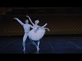 Schwanensee swan lake  adagio zweiter akt  iana salenko  marian walter  staatsballett berlin