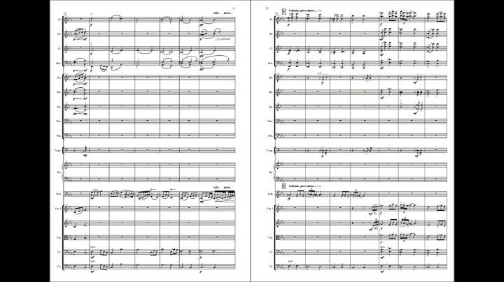Cello Concerto, Op. 79 - II. Largo