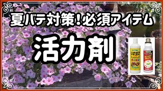 《コスパ良く活力剤を使いこなそう》リキダスとストレスブロックの使い分け／暑さ対策