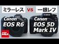 【カメラ比較】キヤノン EOS R6とEOS 5D Mark Ⅳの違いは？ミラーレス一眼とデジタル一眼レフを比較してみました！（カメラのキタムラ動画_Canon）