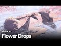Hanatan┃「Flower Drops」 (doriko) 【Lyrics】