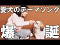 作曲したので弾き歌い|フォトスタジオ撮影|レッスンで何やってる?|エレクトーンの今後の事