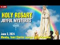 🔴 Rosary Monday Joyful Mysteries of the Rosary June 3, 2024 Praying together