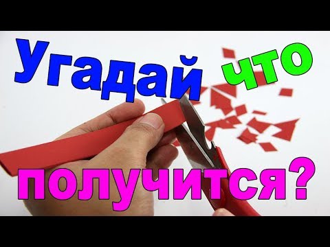 Аппликация из бумаги | Метаморфозы нарезки бумаги