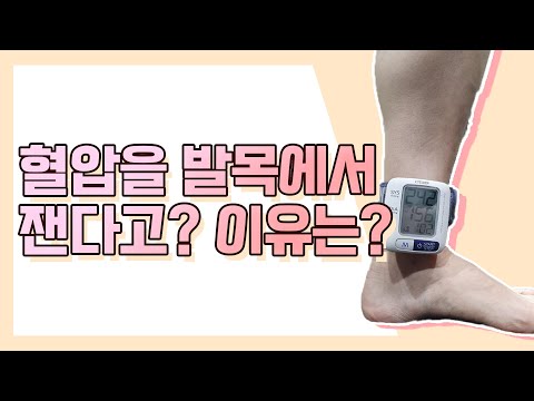 발목에서 혈압을 재야 하는 이유는? 혈액 순환의 지표, 발목 혈압에 주목하세요!