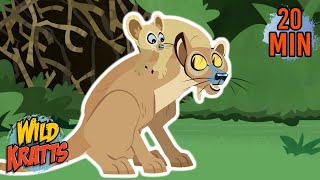 The Best Creature Moms in the Wild | Mother's Day | New Compilation | Wild Kratts