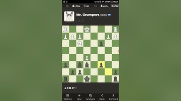 I beat Mr. Grumpers at chess.com! #chesscom#chessbots