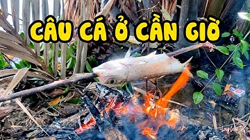 CÂU CÁ TẠI ĐỊA ĐIỂM NHÀ BÈ CẦN GIỜ |  CÁ MĂNG CÁ PHI - LONG COLOR TV 2023