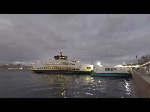 Ücretsiz ve Telifsiz Videolar | 4K İstanbul Üsküdar Sahil Night Lapse Video (C/N: GX014323)