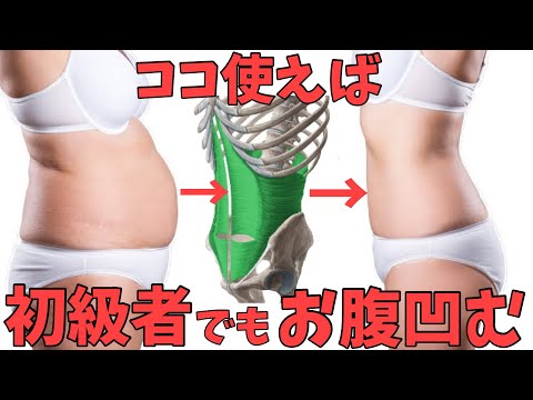 腹筋トレーニングより楽にお腹が痩せる腹横筋トレーニング！