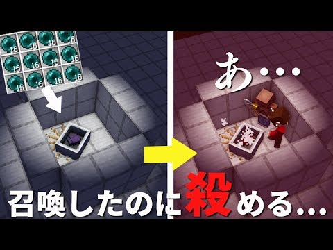 マインクラフト 苦労して召喚させたエンダーマイトが 統合版 ぽこなかくら 156 Youtube