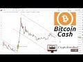 Bitcoin Cash Important Update