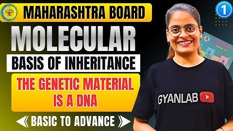 Class 12 Biology - Chp 4 Molecular Basis of Inheritance | The Genetic Material is a DNA | Part 1
