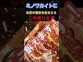 ミノワカイトにお店の宣伝を任せたらこのありさま！Ali the king of kebab short