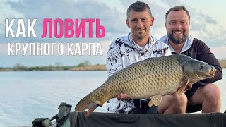 видео: Соревнования. Как поймать 5 крупных рыб? Карпфишинг 2025 картинка: Соревнования. Как поймать 5 крупных рыб? Карпфишинг 2025