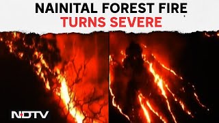 Nainital Forest Fire News | Massive Forest Fire Reaches Nainital's High Court Colony, Army Called In