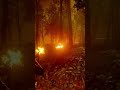 Red Dead Redemption 2 Pantera lendaria assada