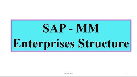 SAP MM Enterprises Structure