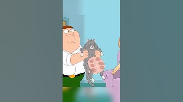 Peter brings home a stray cat. 🤣🔥😭 #familyguy #familyguyclips #funny #trending #cat #cats
