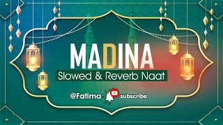 TOP 5 Naat 💙 Slowed+Reverb 💚 Faslon ko Takalluf hai Hamse Agar | Slowed And Reverb Naat Shareef 2024