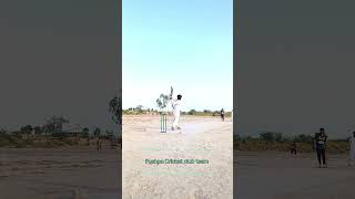 #cricketlover #unfrez #cricket#automobile #foryou #uk #covidricketfans #update #ultrapanda #foryou 🏏