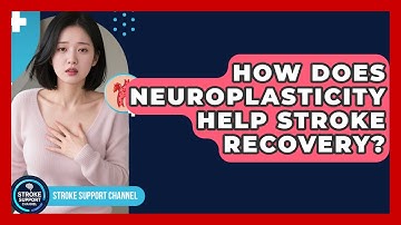 How Does Neuroplasticity Help Stroke Recovery? - Stroke Support Channel