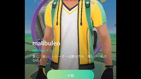 ポケモン チャレンジャー