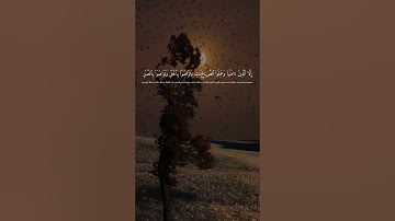تلاوات خاشعة بصوت هادئ#عبد_الباسط_عبد_الصمد #تلاوات #اكسبلور #المصحف #راحة_نفسية