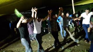Portakal halayı