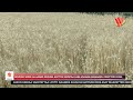 BOLOOSO SOORE ALLAANAN BOOLIMA GISTTIYA MURUTAA KARE GIYAASSI KESSANAWU OOSETTIIDI DE EES BOLOOSO SOORE ALLAANAN BOOLIMA GISTTIYA MURUTAA KARE GIYAASSI KESSANAWU OOSETTIIDI DE EES