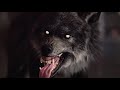 Werewolf: The Apocalypse - Panic Room edit