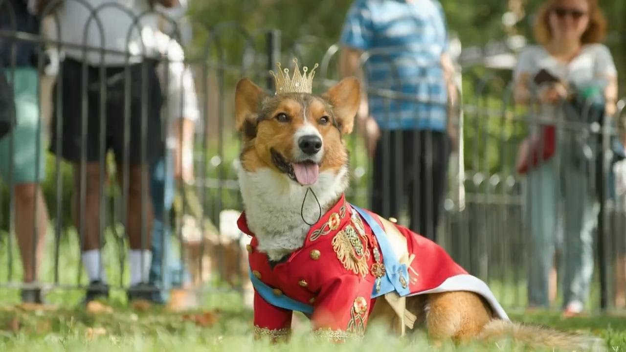In London, a Corgi Parade Offers a Heartfelt Tribute to the Queen