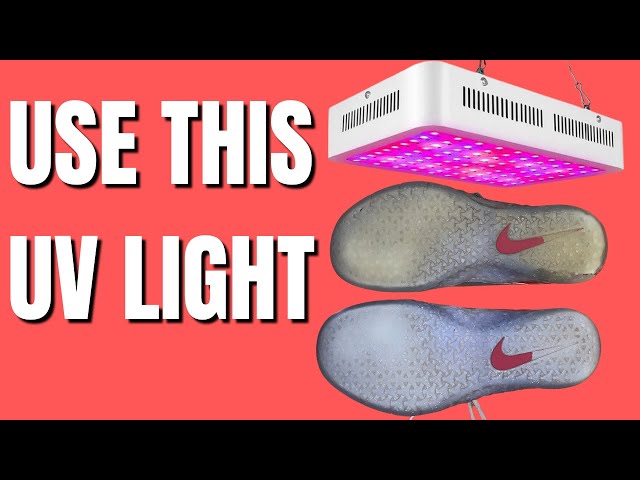 THE BEST LED GROW LIGHT TO BUY FOR YOUR SNEAKER ICEBOX! (DIY ICEBOX) 