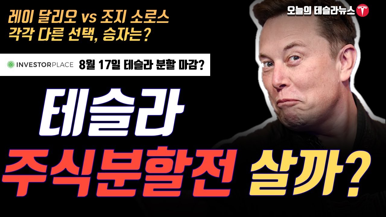 테슬라 주식 분할 전 사야할까? / 8월 17일 테슬라 분할 주주명부 마감?