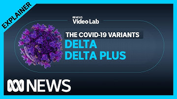 What are the COVID-19 variants Delta and Delta Plus and can we vaccinate against them | ABC News