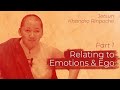 Relating to emotions  ego part 1 jetsun khandro rinpoche buddhism