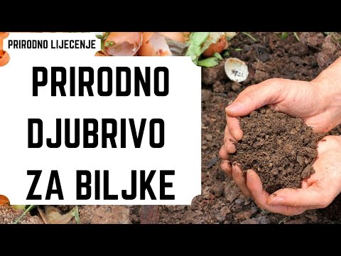 Video: Pileći Gnoj Je Izvrsno Gnojivo Za Vrt