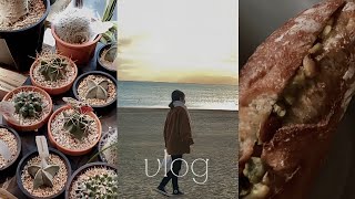 VLOG(eng)社会人の休日\&日常.鎌倉〜横浜｜パン屋さん巡り.ピスタチオの虜.簡単生チョコケーキ作り