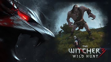Witcher 3: Wild Hunt - Killing a Cyclops (Hard mode)  #ShareEveryWin Witcher
