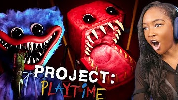 *New* Poppy Playtime Game brings HUGGY WUGGY BACK!! | Project: Playtime