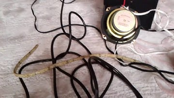 bass a duyarlı şerit led