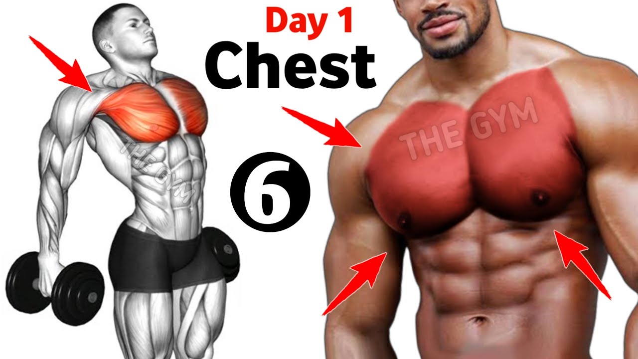 6 Big Chest Exercises - Day 1 Chest Workout - THE GYM 