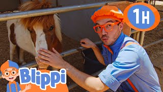 Danny's Farm |  Blippi | Kids Learn! |  Kids Videos