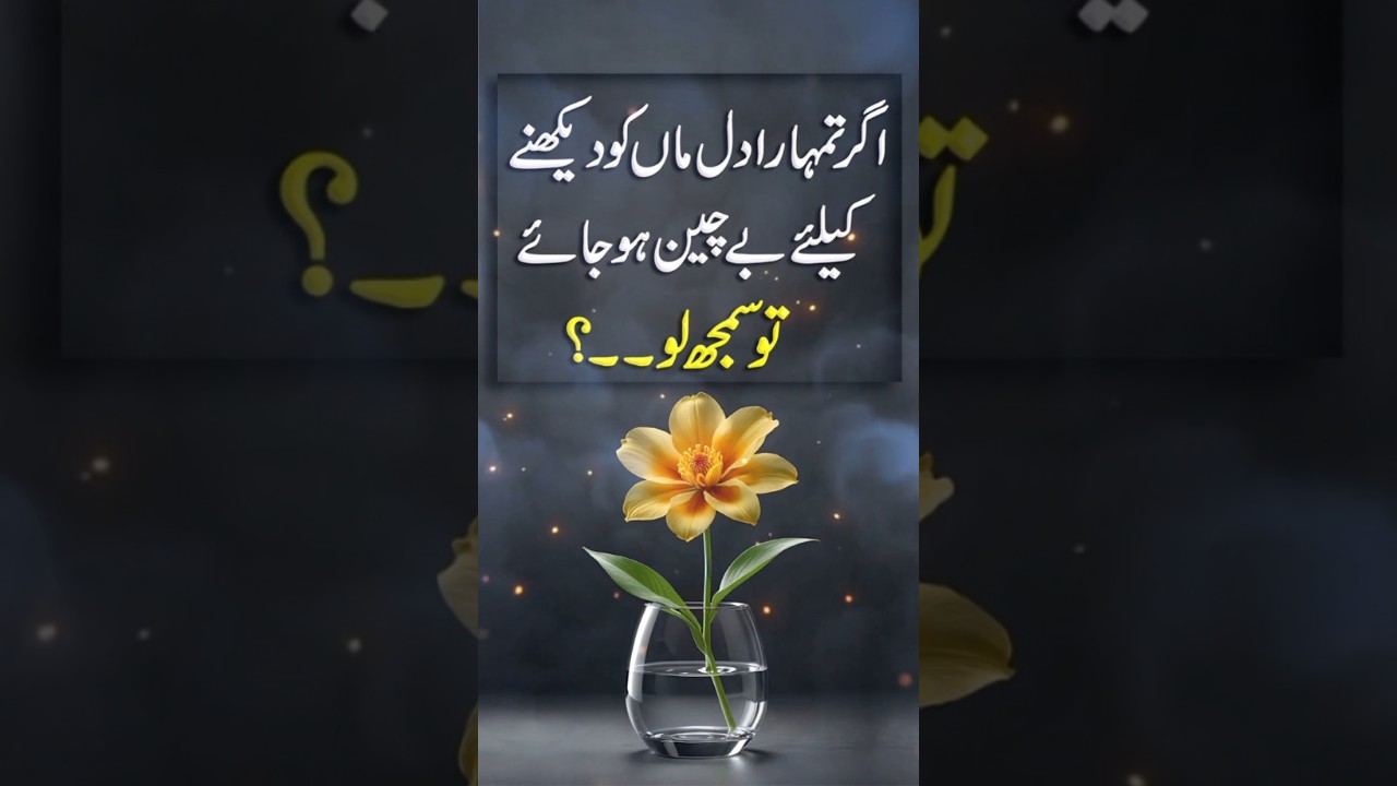 Маа Се Мухабат Киа Кро? Цитаты о матери | Статус матери | Маа Цитаты | Маа Статус 