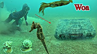 Lặn Biển Phát Hiện Chiếc Hộp Dưới Vùng Nước Sâu - Scuba Diving Discovers The Box